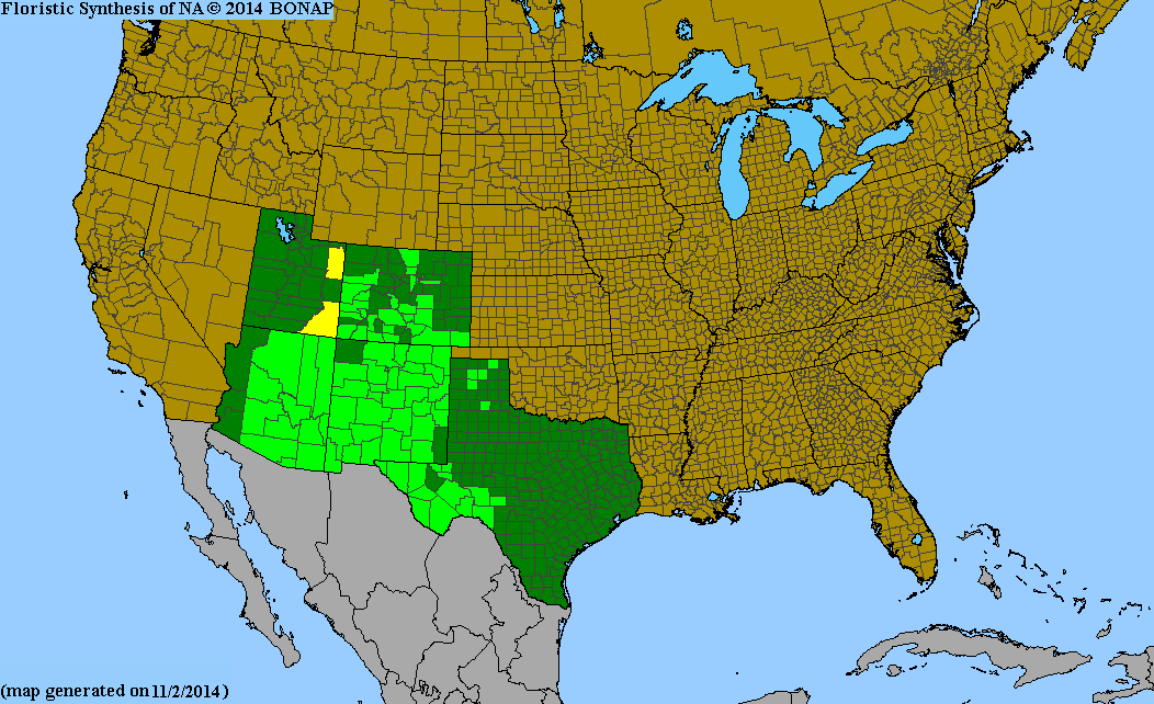 County distribution map of Brickellia eupatorioides var. chlorolepis - False Boneset